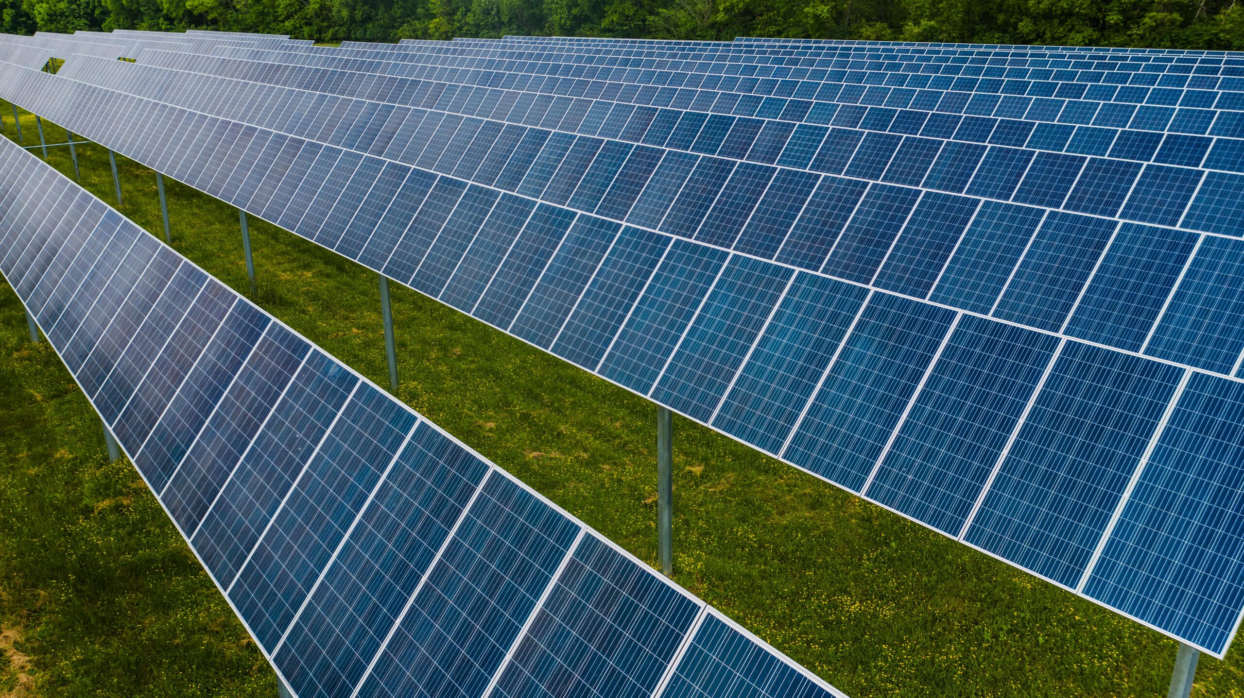 Ristile ehitatav 244 MW päikesepark on Sunly ja Metsagrupi poolt piirkonda rajatava energiapargi esimene etapp. Pargi ehitus algab selle aasta teises kvartalis